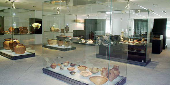 Museu D. Diogo de Sousa